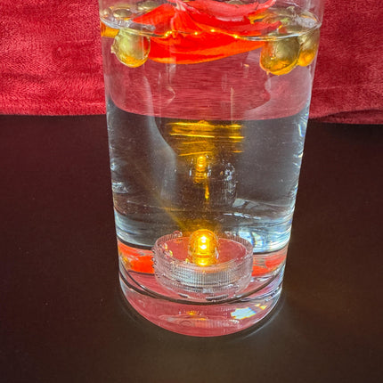 Underwater Submersible LED Lights