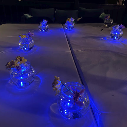 Underwater Submersible LED Lights