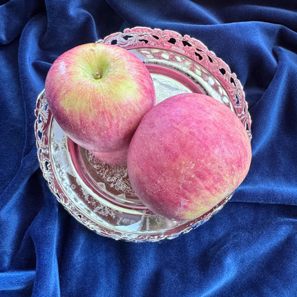 SMALL Silver Lookalike Tray